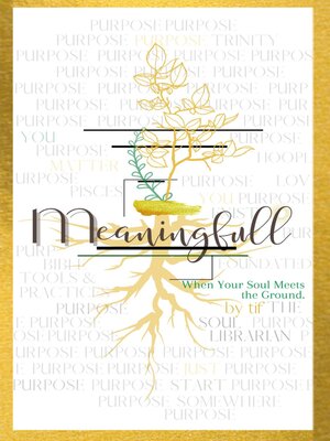 cover image of Meaningfull